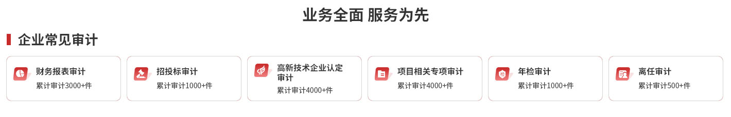 銳創(chuàng)社財稅審計(jì)產(chǎn)品
