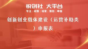 創(chuàng)新創(chuàng)業(yè)載體建設(shè)（運營補助類）申報表獎補政策