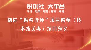 德陽“揭榜掛帥”項目榜單（技術(shù)攻關(guān)類）項目定義獎補(bǔ)政策