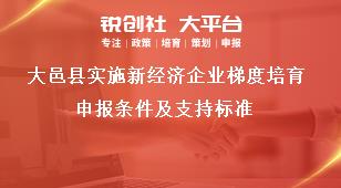 大邑縣實施新經(jīng)濟企業(yè)梯度培育申報條件及支持標準獎補政策