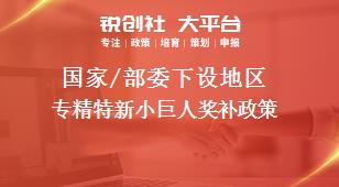 國家/部委下設地區(qū)專精特新小巨人獎補政策