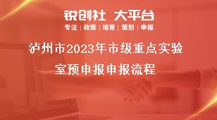 瀘州市2023年市級(jí)重點(diǎn)實(shí)驗(yàn)室預(yù)申報(bào)申報(bào)流程獎(jiǎng)補(bǔ)政策