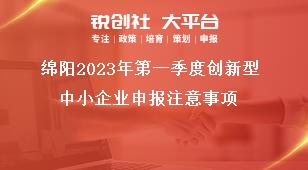 綿陽2023年第一季度創(chuàng)新型中小企業(yè)申報(bào)注意事項(xiàng)獎補(bǔ)政策