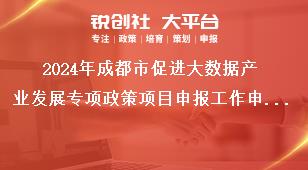 2024年成都市促進(jìn)大數(shù)據(jù)產(chǎn)業(yè)發(fā)展專項政策項目申報工作申報方式獎補政策