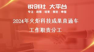 2024年火炬科技成果直通車工作職責(zé)分工獎(jiǎng)補(bǔ)政策