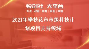 2021年攀枝花市市級科技計劃項目支持領(lǐng)域獎補(bǔ)政策