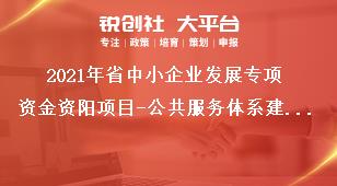 2021年省中小企業(yè)發(fā)展專項(xiàng)資金資陽(yáng)項(xiàng)目-公共服務(wù)體系建設(shè)申報(bào)條件獎(jiǎng)補(bǔ)政策