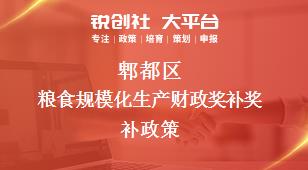 郫都區(qū)糧食規(guī)?；a(chǎn)財(cái)政獎(jiǎng)補(bǔ)相關(guān)配套獎(jiǎng)補(bǔ)政策