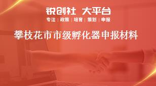 攀枝花市市級(jí)孵化器申報(bào)材料獎(jiǎng)補(bǔ)政策