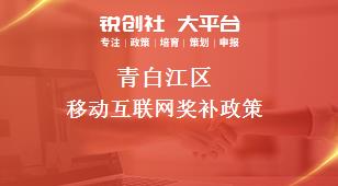 青白江區(qū)移動(dòng)互聯(lián)網(wǎng)相關(guān)配套獎(jiǎng)補(bǔ)政策