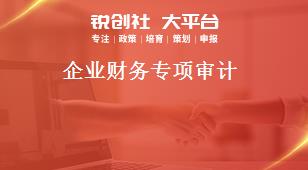 企業(yè)財務(wù)專項(xiàng)審計(jì)獎補(bǔ)政策