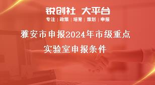 雅安市申報(bào)2024年市級(jí)重點(diǎn)實(shí)驗(yàn)室申報(bào)條件獎(jiǎng)補(bǔ)政策